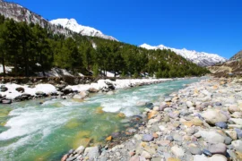 CHITKUL